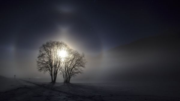 日光,木,風景,夜,自然,空