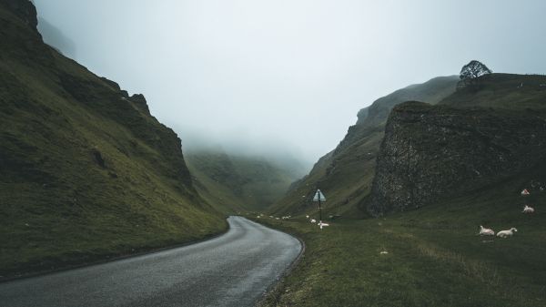 Landschaft,Natur,Straße,Berge,Schild,Schaf