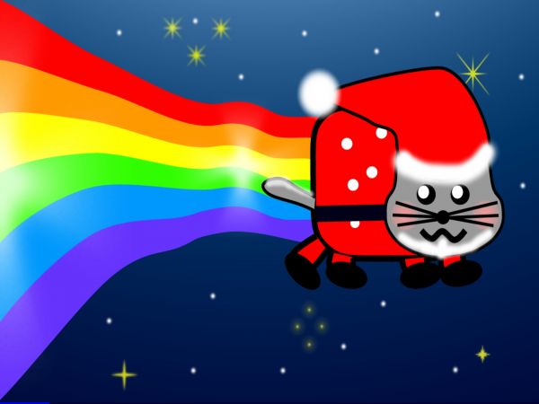 1920x1440 px,gato,edición,Nyan,Navidad