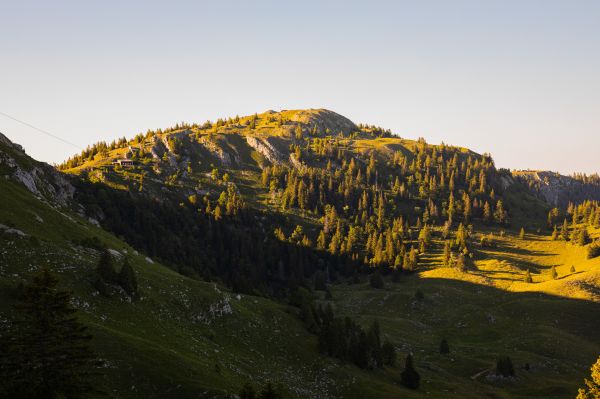 fotografia,na dworze,krajobraz,Natura,drzewa,zieleń