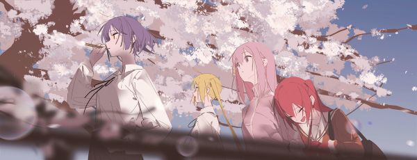 ultrawide,BOCCHI THE ROCK,cherry blossom