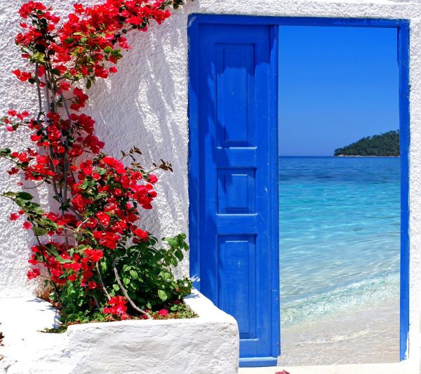 Flores,ventana,playa,azul