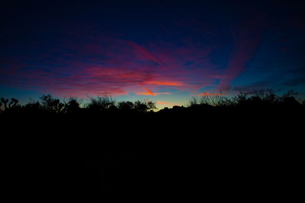 Parque Nacional Joshua Tree,paisaje,puesta de sol,noche