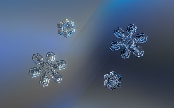 collage, snow, winter, closeup, macro, symmetry