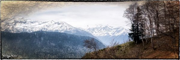 Árvores,neve,França,montanhas,abandonado,sozinho