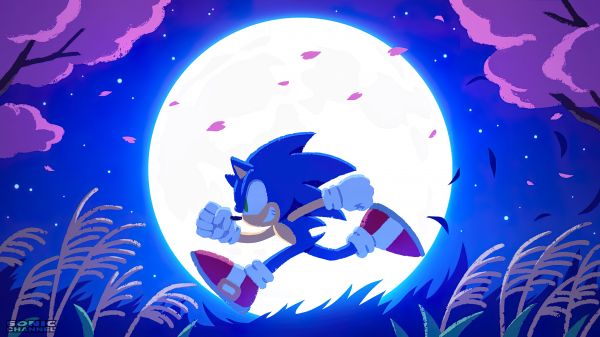 Sonic,Sonic the Hedgehog,Anthro,Video Game Art,Sega,videospill tegn