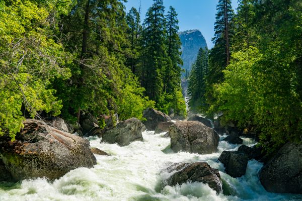 Parque Nacional de Yosemite,Valle de Yosemite,río,bosque,Yosemite Falls,cascada