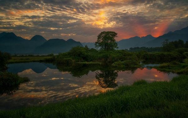 bomen,landschap,bergen,zonsondergang,heuvel,meer