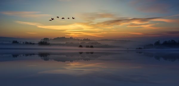 Sky,himmel,atmosfære,vand,fugl,efterglød