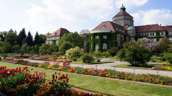 Germany,munchen,Botanical Garden Munich Nymphenburg,cityscape