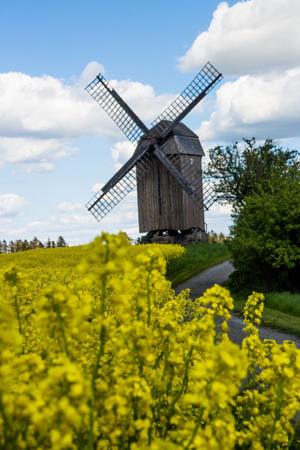 landskap,bygning,himmel,felt,vind,vindmølle