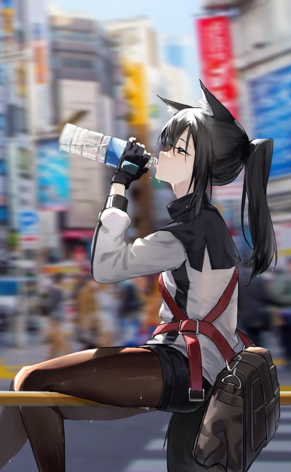 Arknights,Texas Arknights,Chicas anime,Medias negras,pantys,Cola de caballo