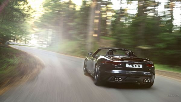 bil,kjøretøy,sportsbil,kjøring,ytelse bil,Jaguar F Type