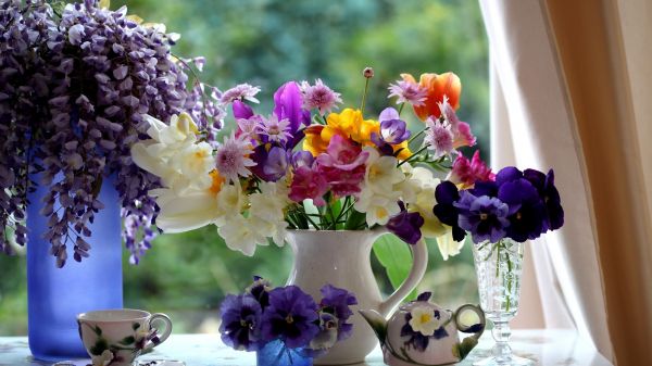 fleurs,vase,Coupe,Pot de thé,rideaux,table