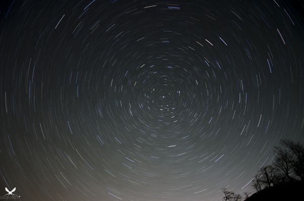 noche, planeta, espacio, estrellas, Luna, Estrella del Norte