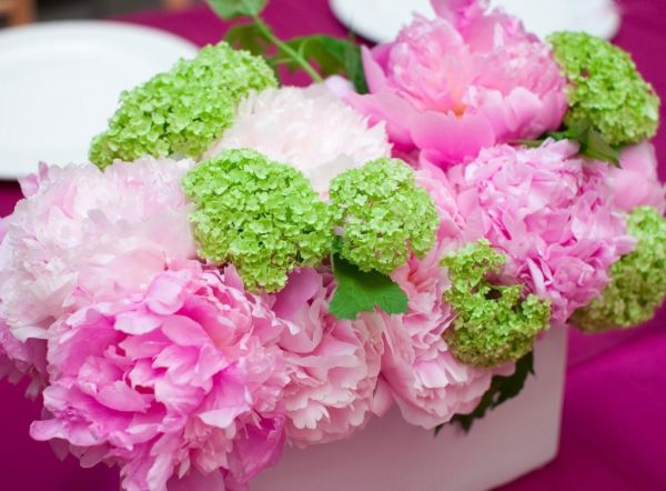 peonies,hortenzia,összetétel,lábasok