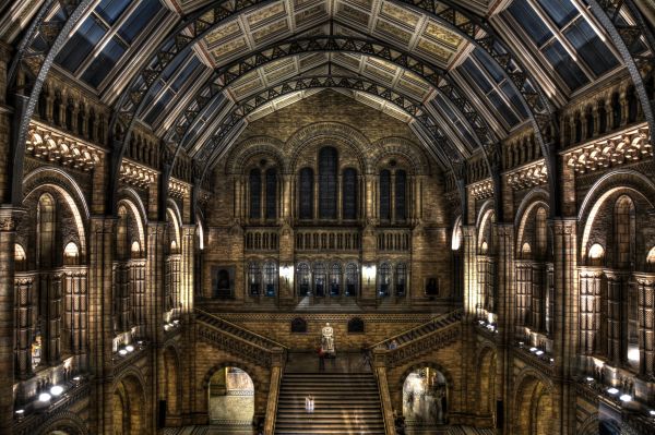 ciudad,edificio,gran Bretaña,ligero,Inglaterra,Londres