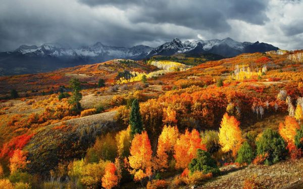 panorama, floresta, cair, montanhas, natureza, colorida