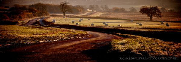 luce del sole,paesaggio,alberi,autunno,tramonto,notte