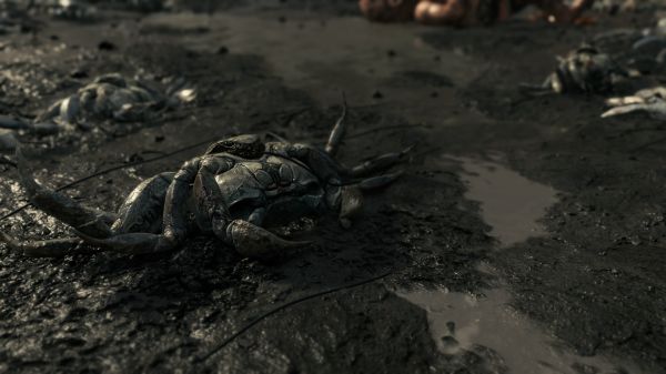 Stranding da morte, videogames, Captura de tela, Hideo Kojima