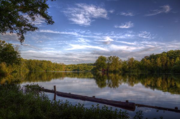 slnečnému žiareniu,stromy,krajina,les,západ slnka,jazero