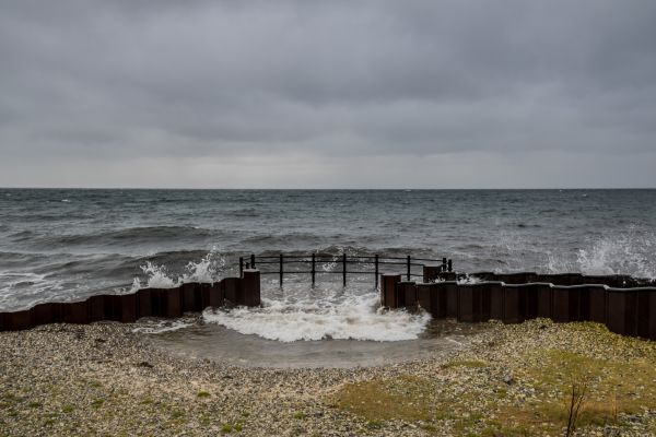 mare, apă, stâncă, ţărm, plajă, dafin