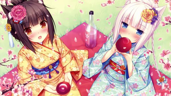 Nekomimi,Anime,Anime cô gái,Tai động vật,hình minh họa,miêu nữ