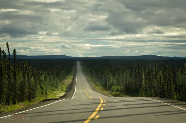 道路, 旅行, 空, 雲, 森林, 航海