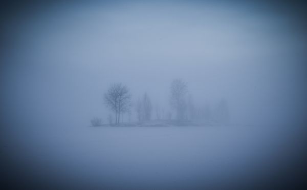 trees, lake, reflection, sky, sunlight, snow