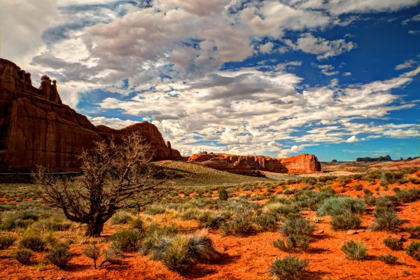 2859x1907 px,arches,desert,landscape,national,park