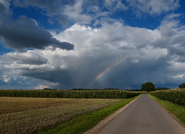 cielo,campo,strada,Iris,berg,Regenboog