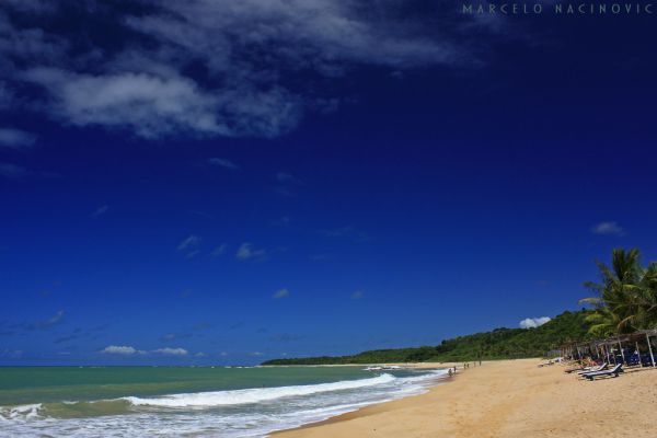 風景,海,湾,水,自然,海岸