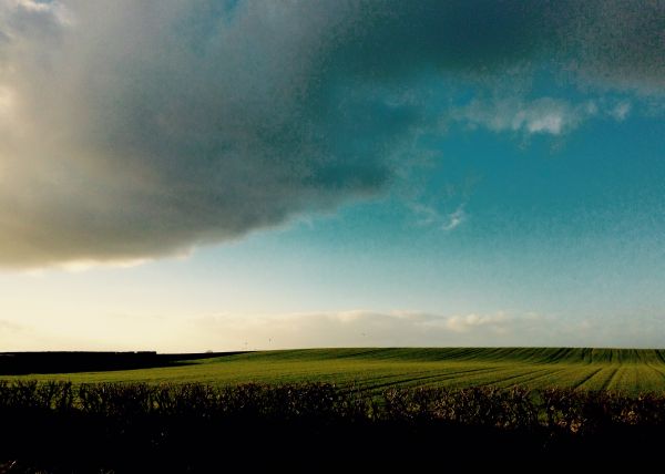 groen,Ierland,hemel,wolk,fabriek,natuur