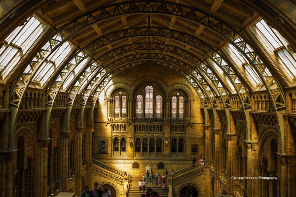 historia,darwin,london,museum,naturlig