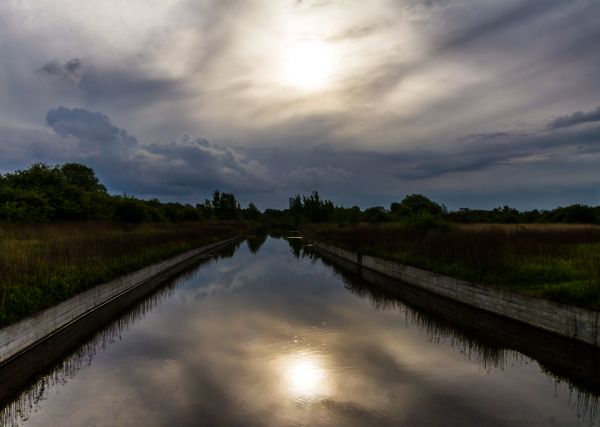 Amager,често срещани,Копенхаген,Danmark,Дания,depthofview