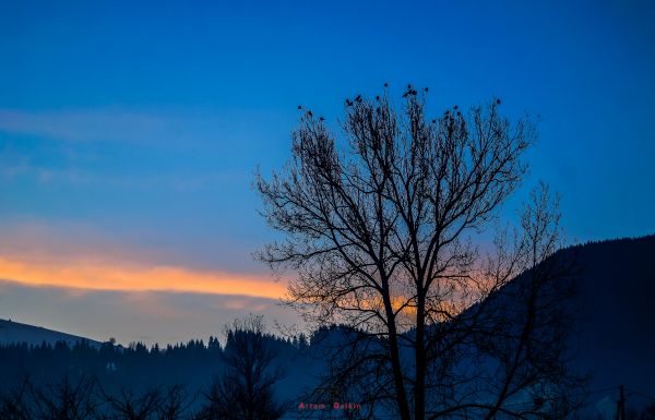 luz de sol, paisaje, contraste, vistoso, montañas, aves