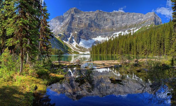 paysage, forêt, Montagnes, Lac, la nature, réflexion