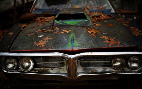 coche,vehículo,Frente del vehículo,Auto antiguo,hojas,Pontiac