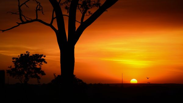 céu,dia,nuvem,atmosfera,Afterglow,Ecoregião