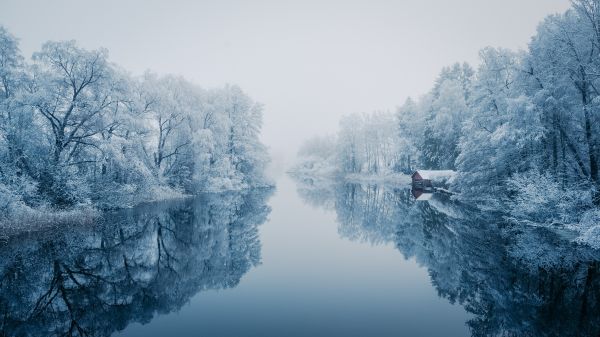 water,sky,water resources,Natural landscape,tree,lake