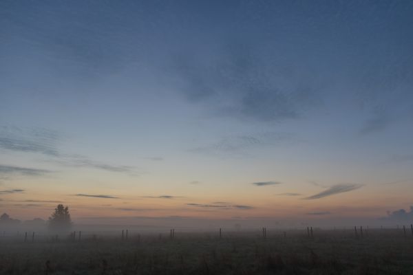 luce del sole, paesaggio, tramonto, cielo, campo, Alba