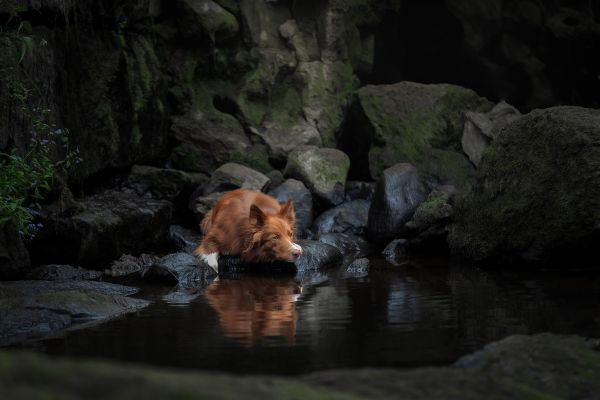 水,厂,Natural landscape,讨好,河道,基岩