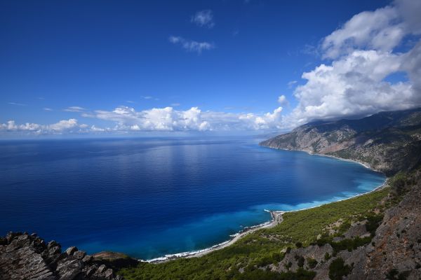 δέντρα, τοπίο, θάλασσα, όρμος, νερό, λίμνη