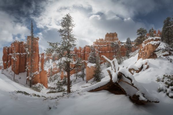 景观,雪,性质,天空,云彩,Daniel Kordan