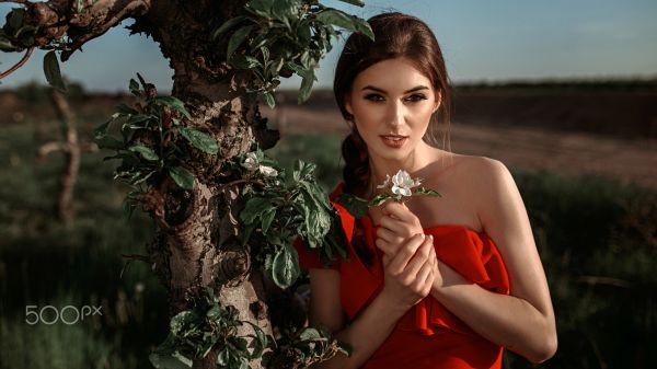 mujer,modelo,pelo largo,Castaño cabello,Mujeres al aire libre,Damian Pi rko