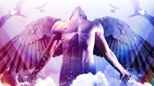 2560x1440 px, ángel, Axwell, aves, Sol eterno de la mente sin mancha, gelatina