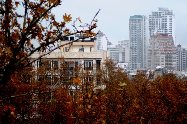 hemel,gebouw,fabriek,wolkenkrabber,venster,takje