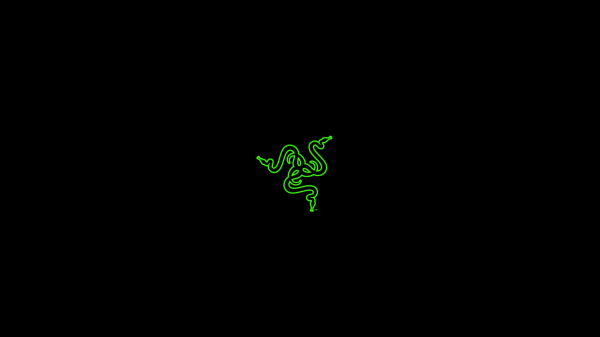 logo, owad, Gra komputerowa, Razer, tekst, Wyścig PC Master