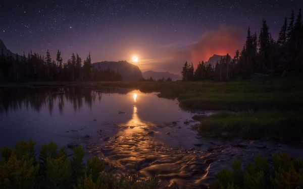 lumière du soleil,des arbres,paysage,le coucher du soleil,Lac,nuit