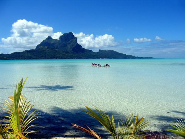 Berge,blaues Wasser,Lagune,Golf,Geäst,Palme